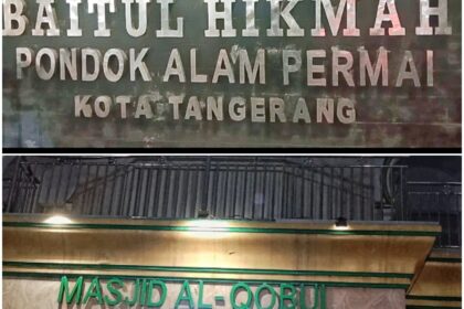 Budaya